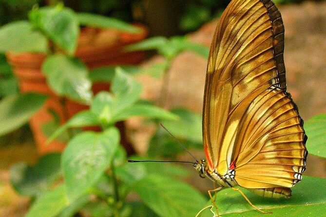 Puerto Iguazú: Iguazú Biocenter Tour - About Your Stay