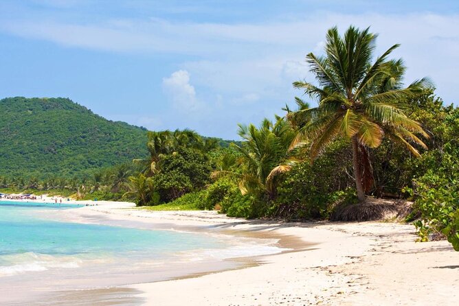 Puerto Rico: Culebra Snorkeling and Flamenco Beach Tour by Ferry - Good To Know