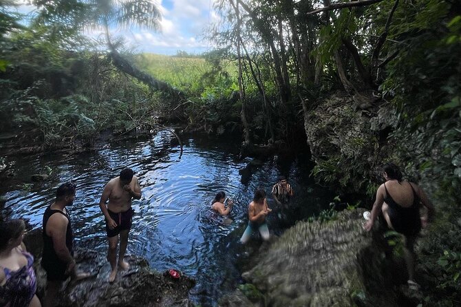 Puerto Rico Hidden Spring Swim and Beach Snorkeling Tour - Good To Know