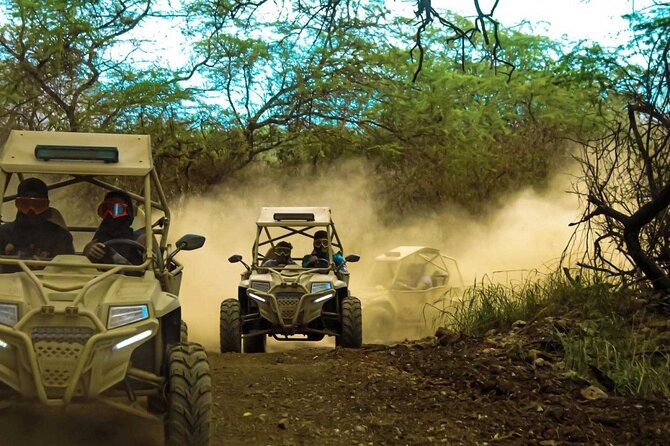 Quad Buggy Excursion Tour - Good To Know