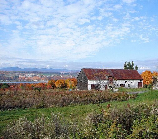 Quebec City - Guided E-Bike Tour & Tastings - Ile Dorléans - Good To Know