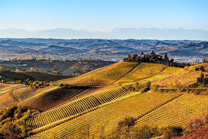 Radda in Chianti: Wine Tasting Tour With Lunch at the Castle