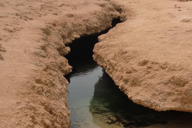 Ras Mohamed by Bus From Sharm Elsheikh - Overview of Ras Mohamed