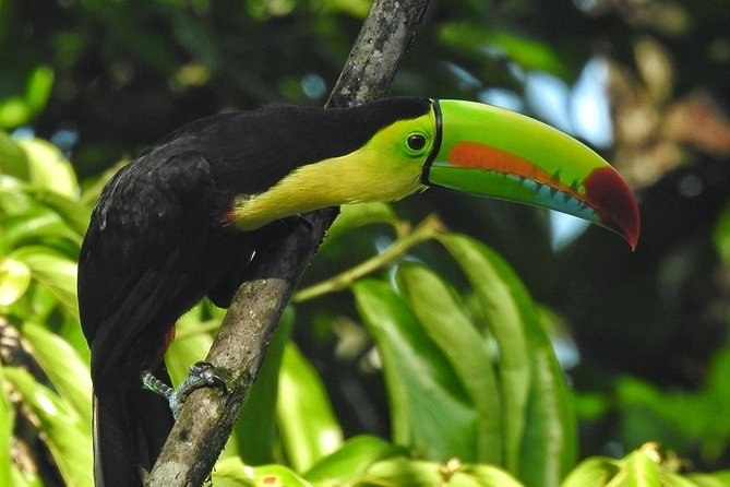 Regular Natural History Walk - About Your Stay