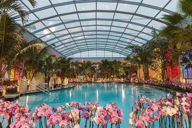 Relax and Fun at Thermal Spa Bucharest (Admission Ticket) - Good To Know