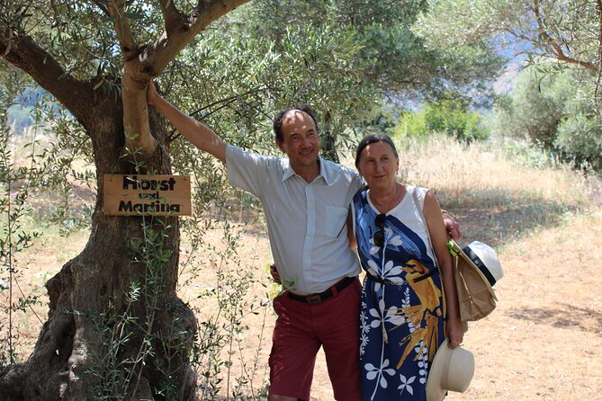 Rethymnon Olive Tree Sponsorship Protect and Plant Tour - Viator Help Centre Inquiries