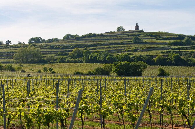Rhein Castles & Regal Riesling. Tasting Wine Along the Rhein - Good To Know