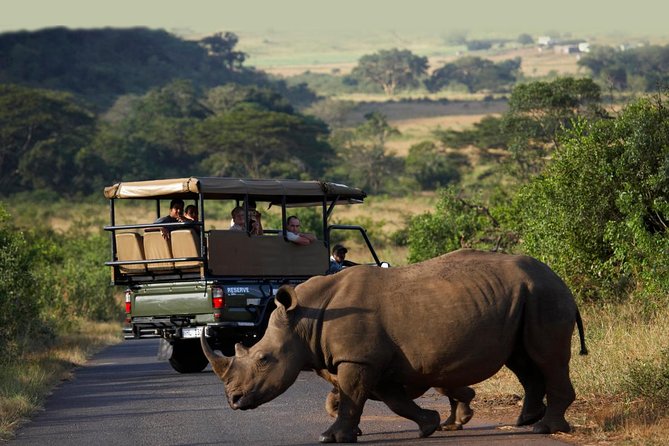 Richards Bay Shore Excursion: Private Small Group Hluhluwe Safari - Good To Know