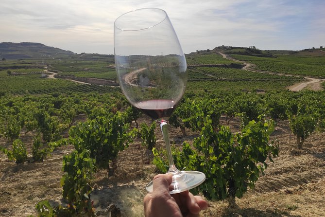 Rioja Wine Tour: Winery & Traditional Lunch From Pamplona - Good To Know