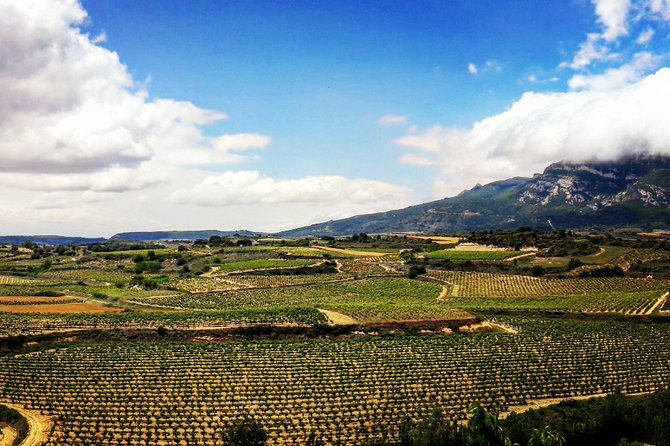 Riojas Top Wines Tasting Private Tour - Tour Overview