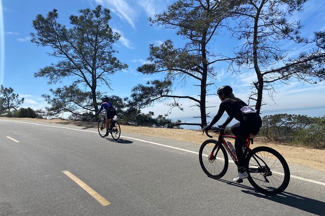 Road Bike Ride - Designed for Serious Cyclists - Good To Know