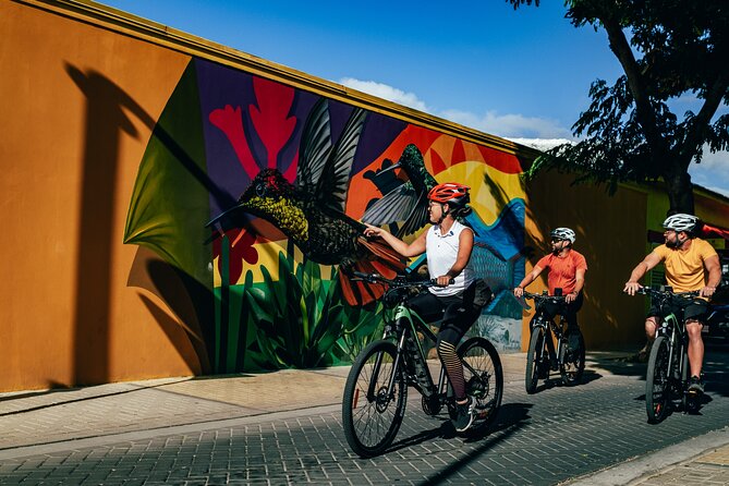 Road to San Nicolas Culture Heritage by Electric Bike Aruba - Good To Know