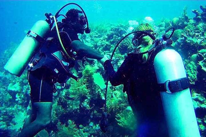 Roatan Discover Scuba Diving Experience - Good To Know