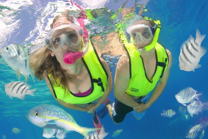 Roatan Excursion Horseback Riding / Zip Line / Sloths Hangout / Snorkel Adven.. - About Your Stay