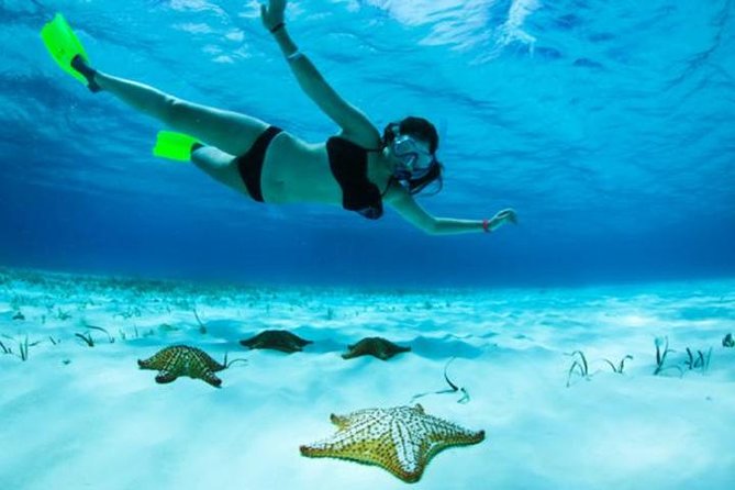 Roatan North Side Mangroves, Starfish, Shipwreck Snorkeling & Transportation - About Your Stay