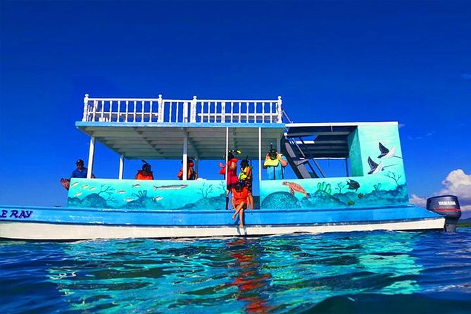Roatan Private Catamaran Shipwreck, Blue Channel and Starfish With Transfer - About Your Stay