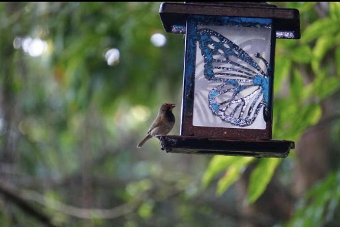 Rockland Bird Sanctuary and Hip-Strip Shopping - Flexible and Personal Experience