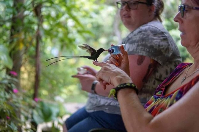 Rockland Bird Sanctuary Private Tour - Inclusions
