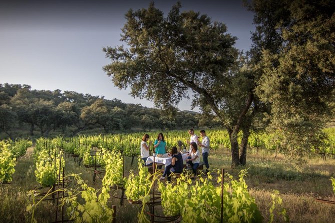 Ronda Private Full Day Wine Tour - Good To Know