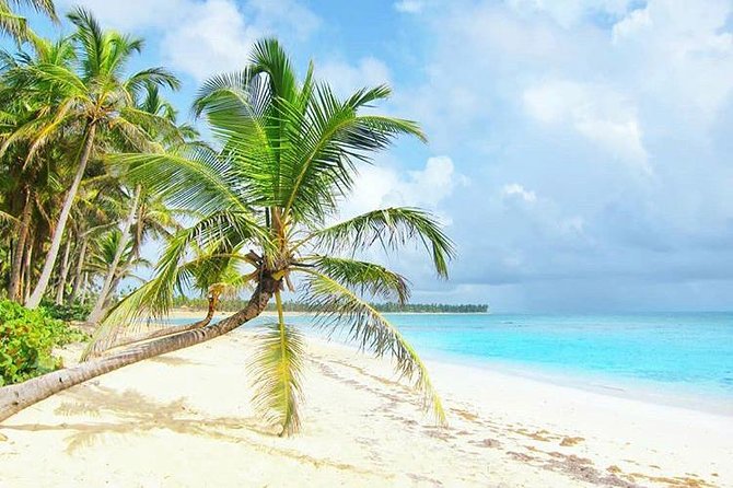 Round Trip Shuttle - Punta Cana Airport Shuttle 7-10 Passengers - Good To Know