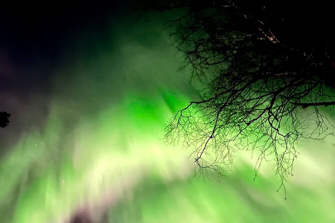 Rovaniemi Northern Lights Small-Group BBQ With Hotel Transfers - Good To Know