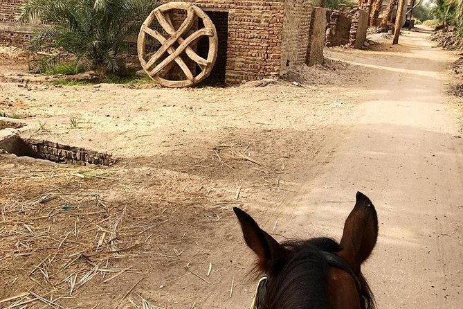 Rural Horse Riding Adventure - Good To Know