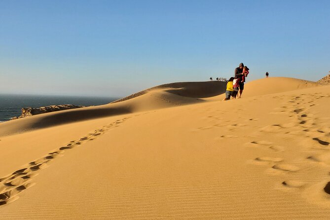 Sahara Dunes & Paradise Valley Day Trip From Agadir - Good To Know