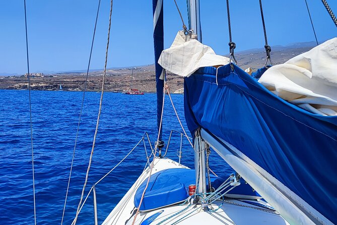 Sailing Experience From Costa Adeje - Key Points