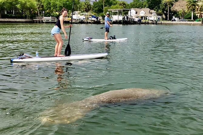 Saint Petersburg Paddle Board Tour - Good To Know
