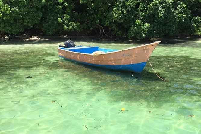 Samana Day Trip From Punta Cana: Cayo Levantado & El Limon Waterfall - Tour Overview and Highlights