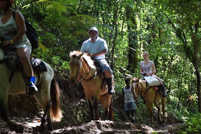 Samana With Cayo Levantado, Full Day Tour! All Inclusive - Tour Highlights