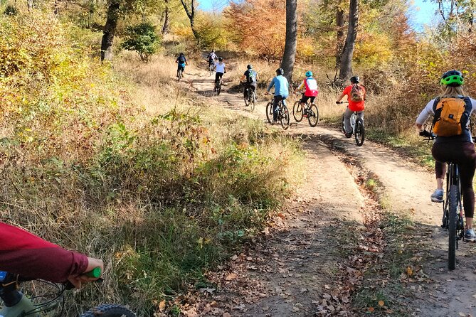 Sambata De Sus: E-Bike Guided Tours - Good To Know