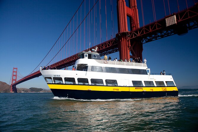 San Francisco Bay Cruise & Double Decker Night Tour - Tour Overview