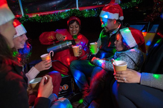 San Francisco Holiday Lights & Sites Lucky Tuk Tuk Private Tour - Good To Know