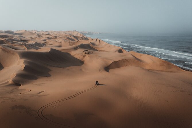 Sandwich Harbour 4x4 Half Day Experience With Beach Braai - Good To Know