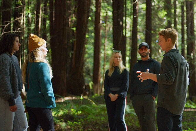 Santa Cruz Redwoods Forest Therapy - Good To Know