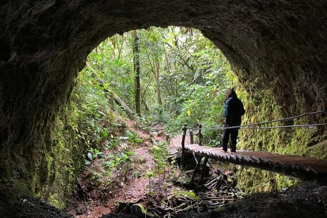 Santa Rita Waterfall and Salento Hike Tour - About Your Stay