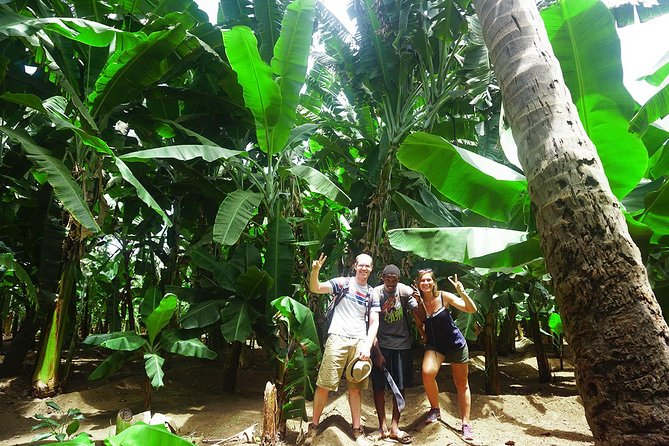 Santiago Island: Banana Plantation, Natural Park & Workshop With a Local Family - Good To Know