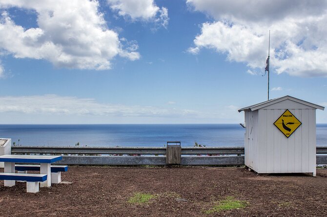 Sao Miguel: Azorean Whalers Heritage Tour - Good To Know