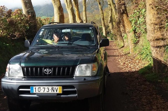 Sao Miguel: Northeast Small-Group Tour From Ponta Delgada - Good To Know