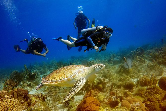 Saona Diving - Good To Know
