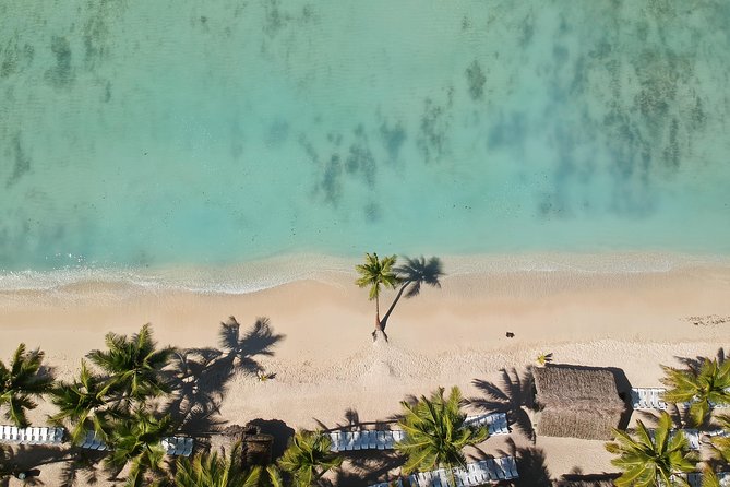 Saona Island Day Trip - Trip Overview