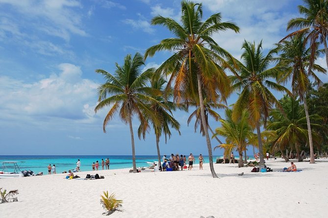Saona Island Sail Catamaran Tour - Tour Overview