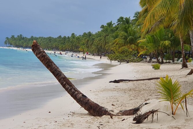 Saona Island Unforgettable Experience. !!! .. - Tour Highlights