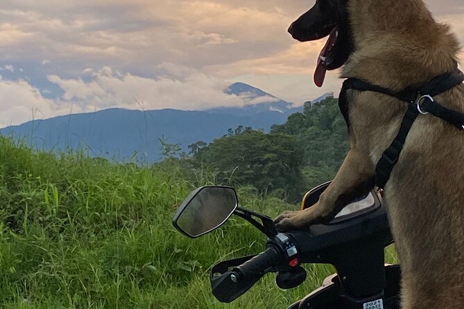 Scooter Rentals in Manuel Antonio - Overview and Features