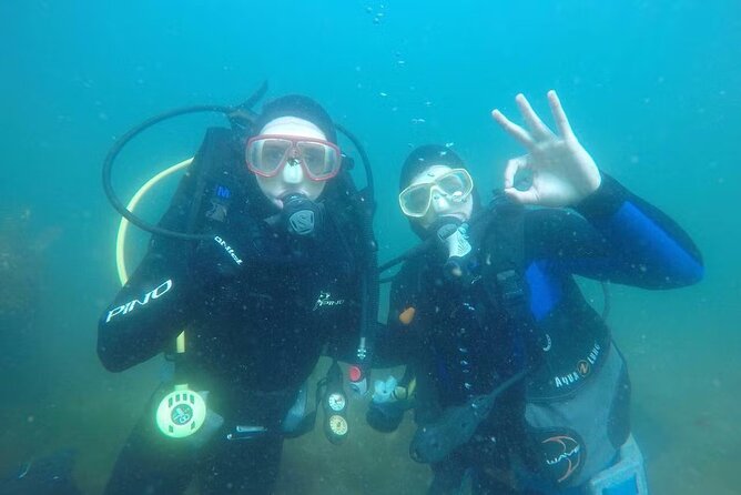 Scuba Diving Activity in Dubai With Hotel Pickup - Key Points