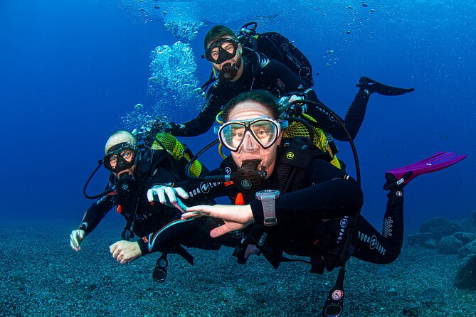 Scuba Diving Baptism Experience in Santa Cruz Tenerife - Viator Help Centre Inquiries