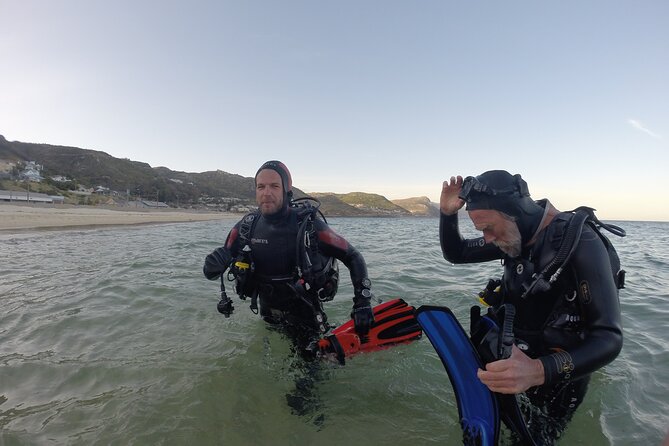 Scuba Diving Experience in Simonstown With an Expert - Good To Know