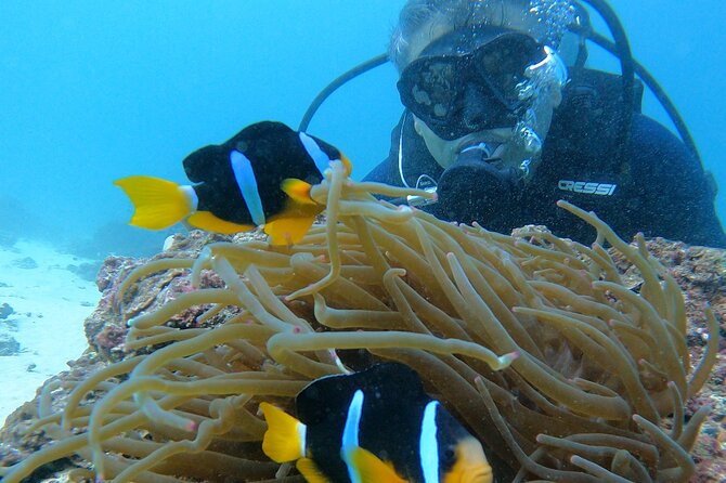 Scuba Diving in Muscat - Good To Know