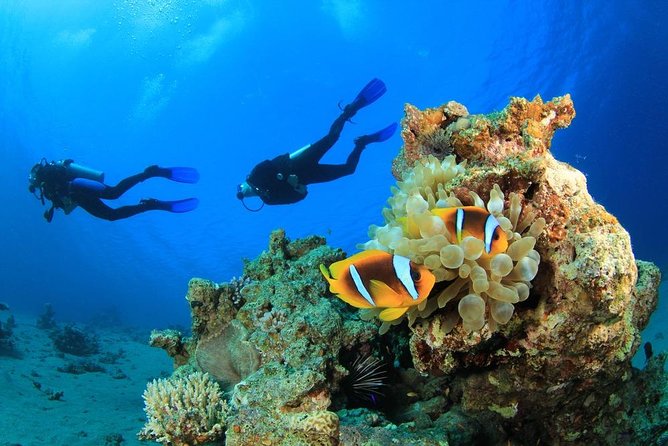 Scuba Diving Trip: Diving, Transfers, and Lunch - Hurghada - Good To Know